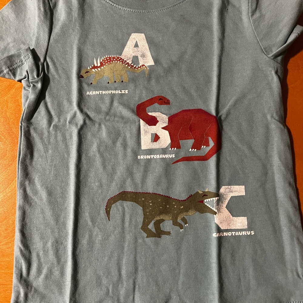 Toddler boys dinosaur t shirt NWT